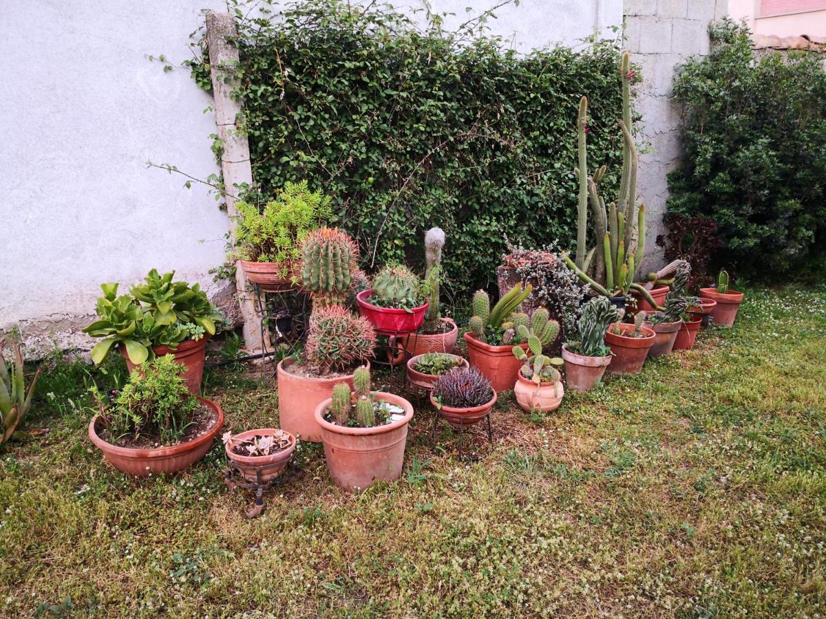 Zia Chiarina Bed & Breakfast San Nicolo Gerrei Exterior photo