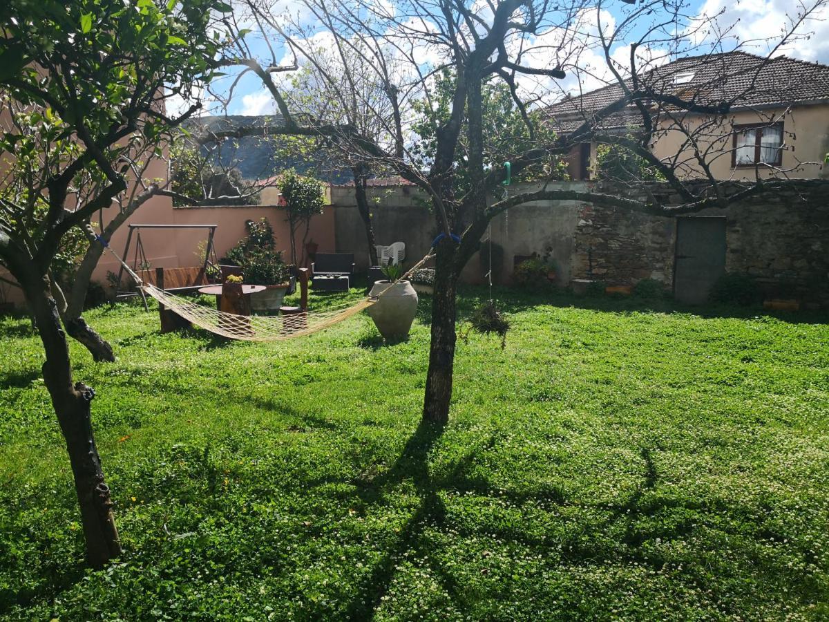 Zia Chiarina Bed & Breakfast San Nicolo Gerrei Exterior photo