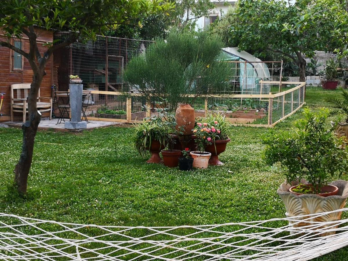 Zia Chiarina Bed & Breakfast San Nicolo Gerrei Exterior photo