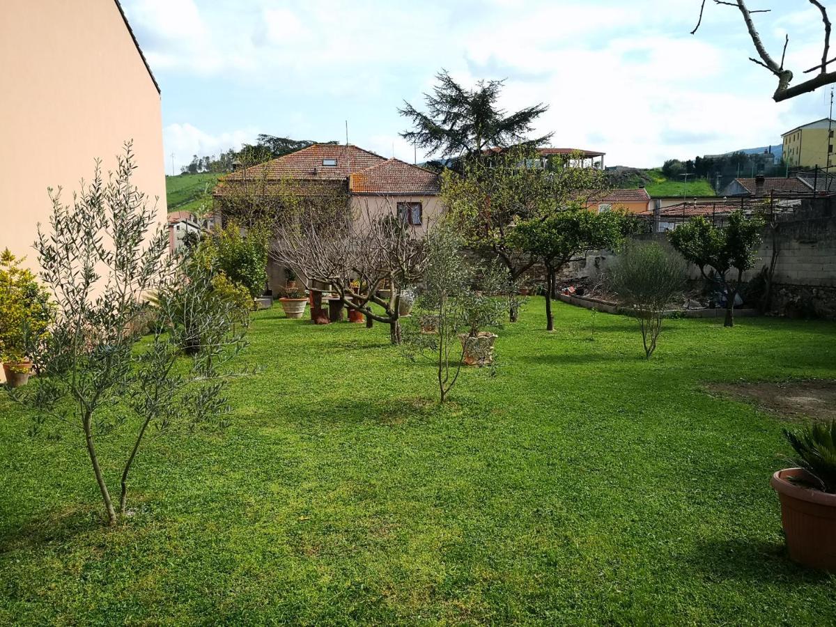 Zia Chiarina Bed & Breakfast San Nicolo Gerrei Exterior photo