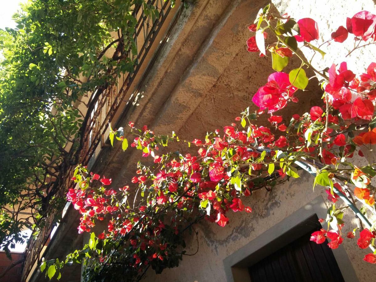 Zia Chiarina Bed & Breakfast San Nicolo Gerrei Exterior photo